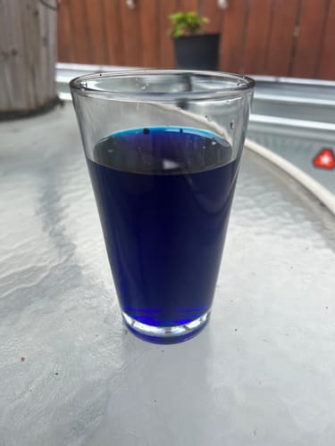 Taylor Reese review