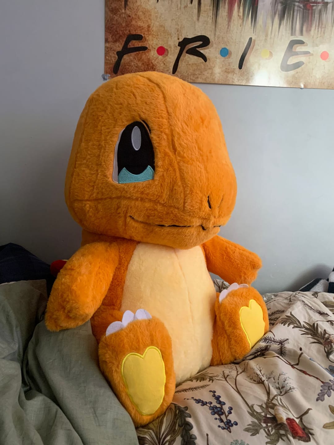 Customer photo review of Charmander Large Plush XXL