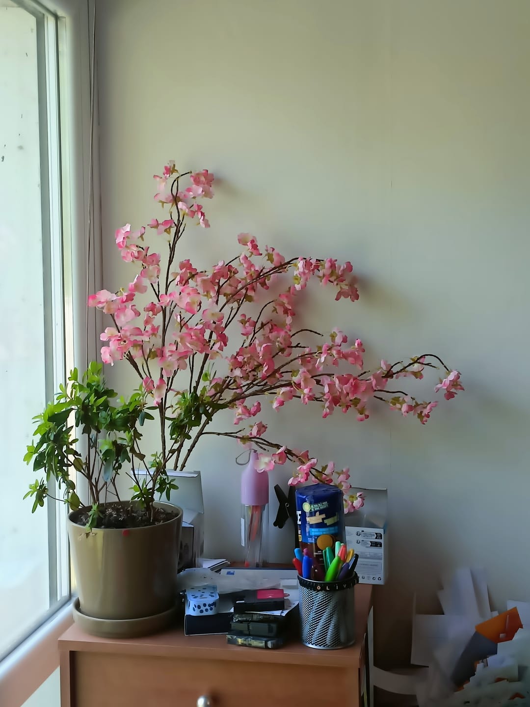 Customer photo review of Fleur de Sakura - Fuchsia rose (3 tiges)
