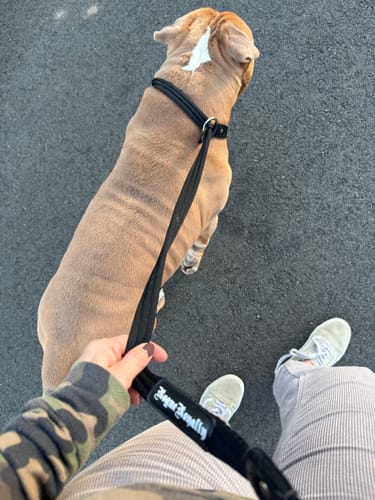Customer photo review of Dog Leash - Ultra Soft Slip Leash 155cm