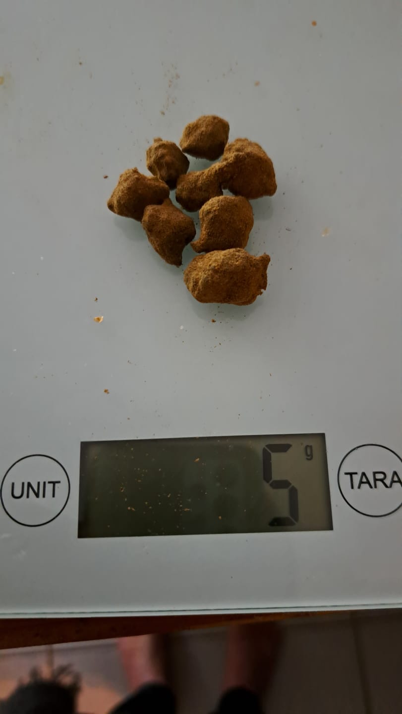 Customer photo review of 🌗 Moonrockz - Power LVL 5/5