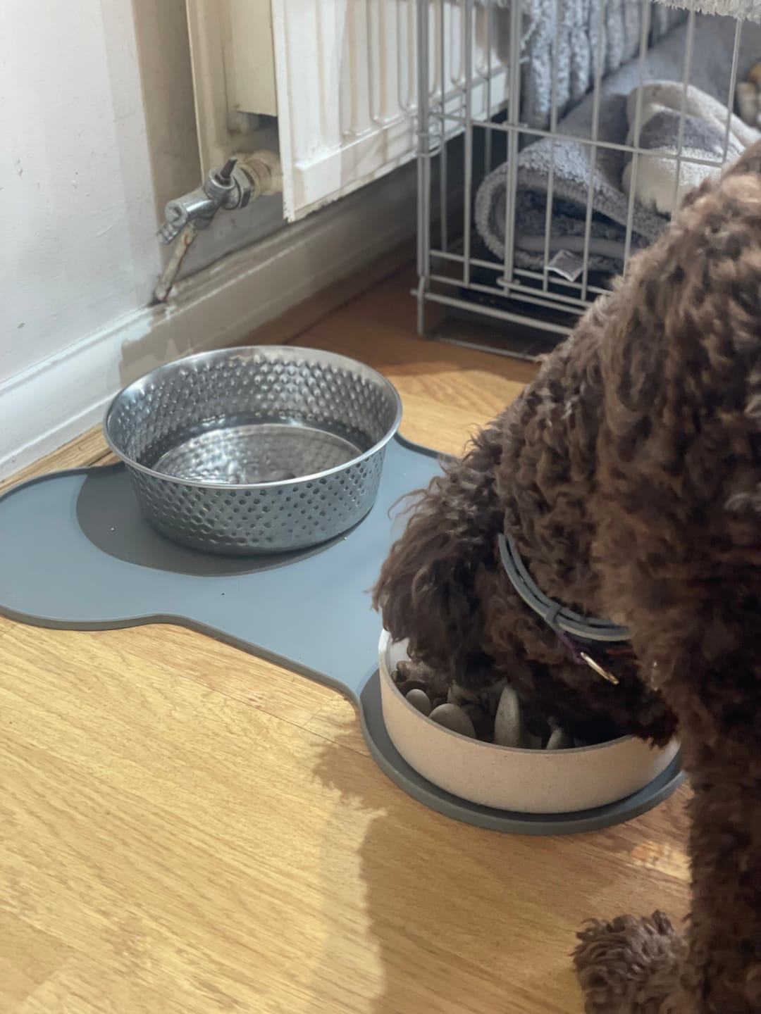 Customer photo review of English Duck Dry Food