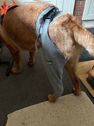 Customer photo review of Lick Sleeve