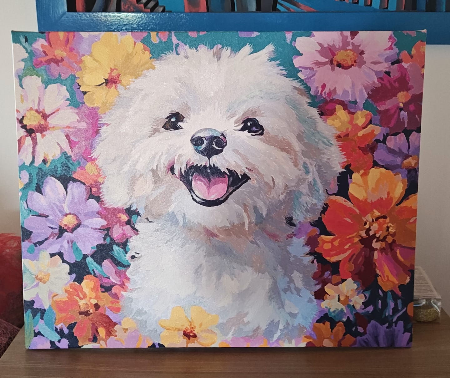Customer photo review of Bichon Frise