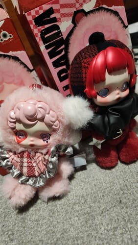 Customer photo review of Pop Mart SKULLPANDA Winter Symphony Series Single Blind Box