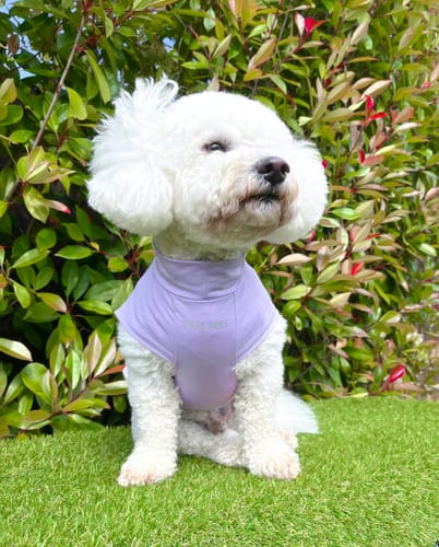 Customer photo review of Sunblock Dog T-Shirt - Purple
