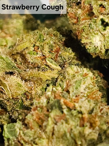 Customer photo review of Strawberry Cough THCA Flower