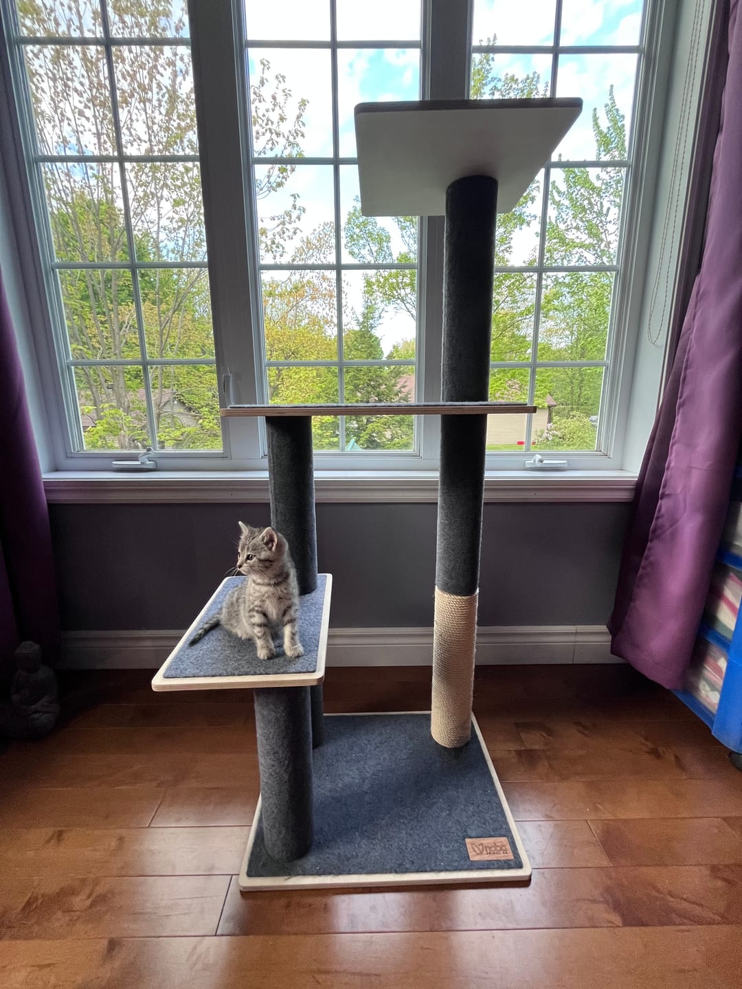 Customer photo review of Noba Modern Plywood 3-Level Cat Tree