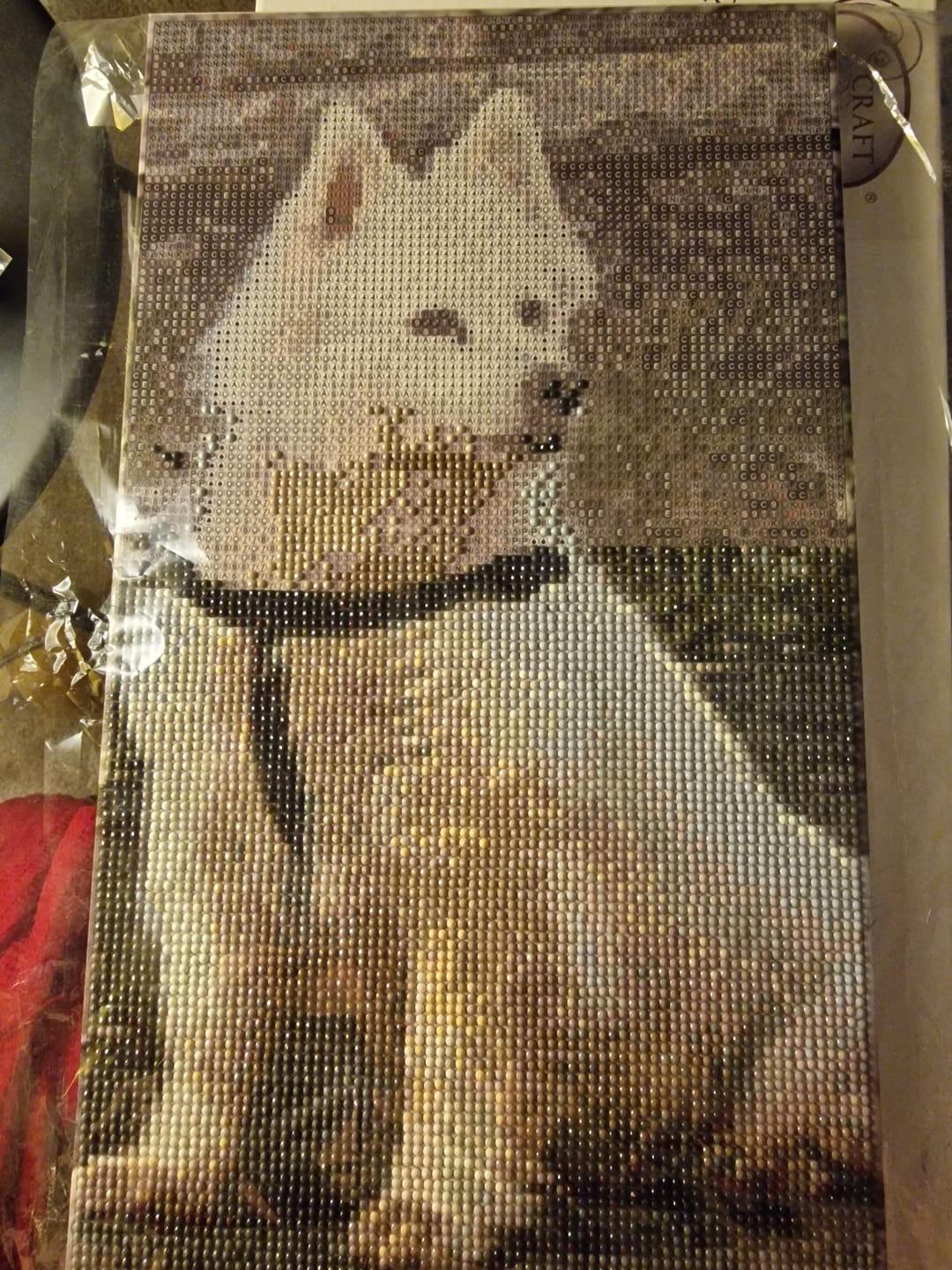 Customer photo review of Personalised Crystal Art Canvas Kit