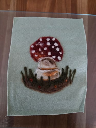 Customer photo review of Sophie Wheatley's Felted Fungi Supplies Box