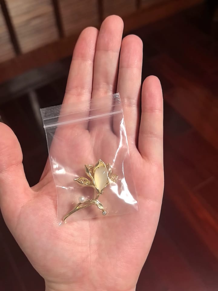 Customer photo review of Yu Lan Magnolia Artwork Brooch Gift Set