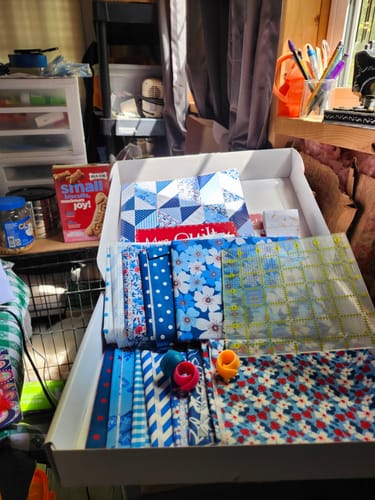 Customer photo review of Mrs Quilty Subscription Box