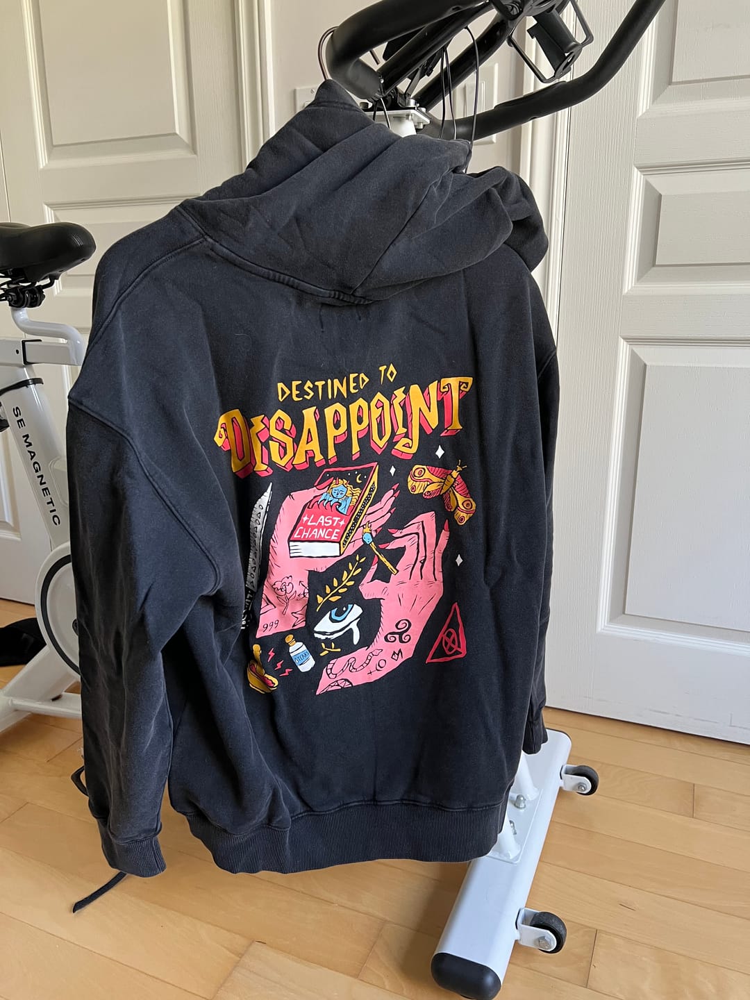 Customer photo review of Destined to Disappoint Hoodie