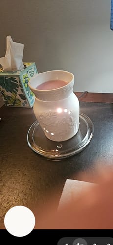 Customer photo review of 8oz Squeezable Wax Melt Bags (Classic Collection)