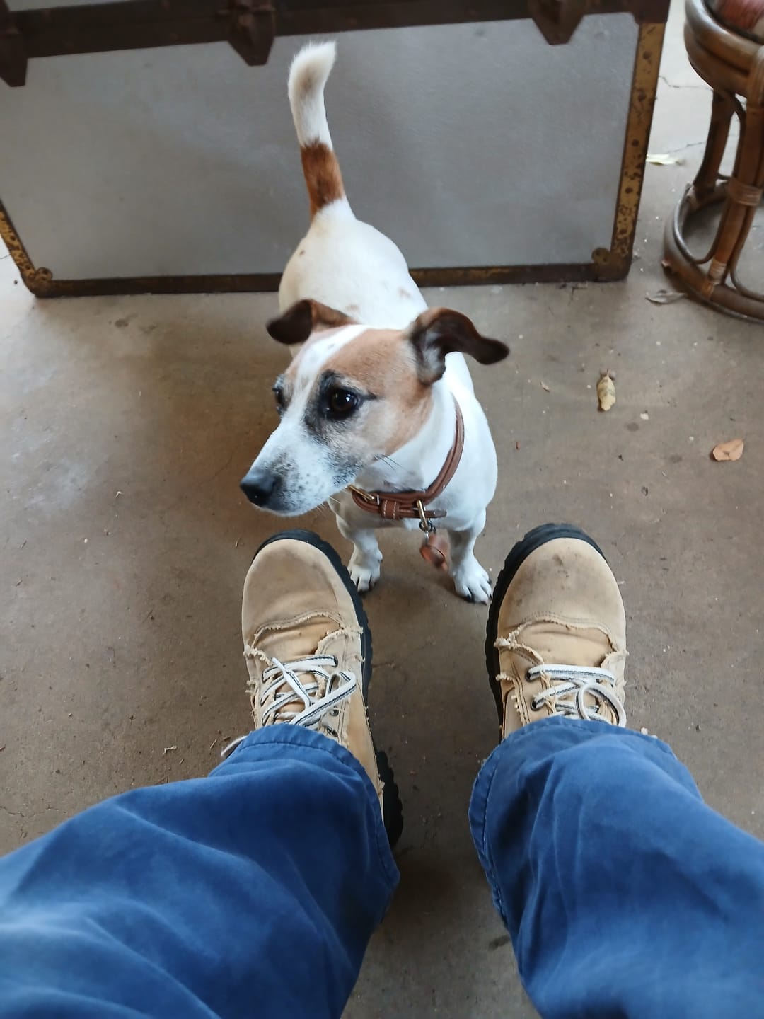 Customer photo review of Urban Boots