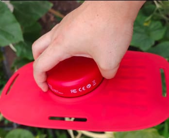 Customer photo review of The Essential