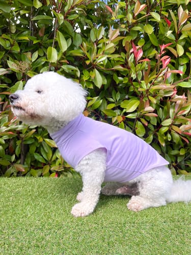 Customer photo review of Sunblock Dog T-Shirt - Purple