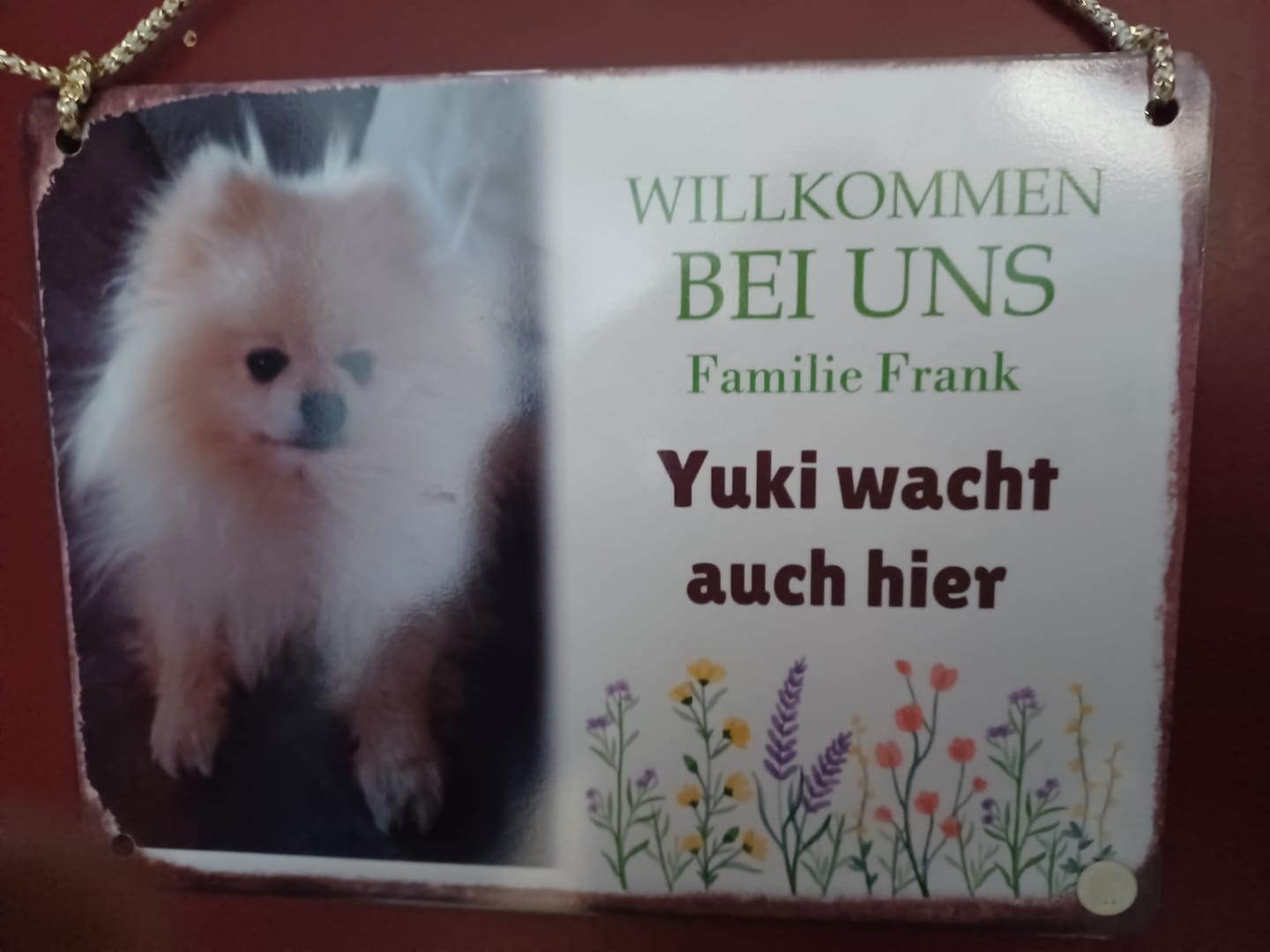 Customer photo review of Hunde Garten-Schild personalisiert mit Foto & Text (UV- und wetterfest)