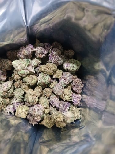 Customer photo review of Cake Batter THCA Flower