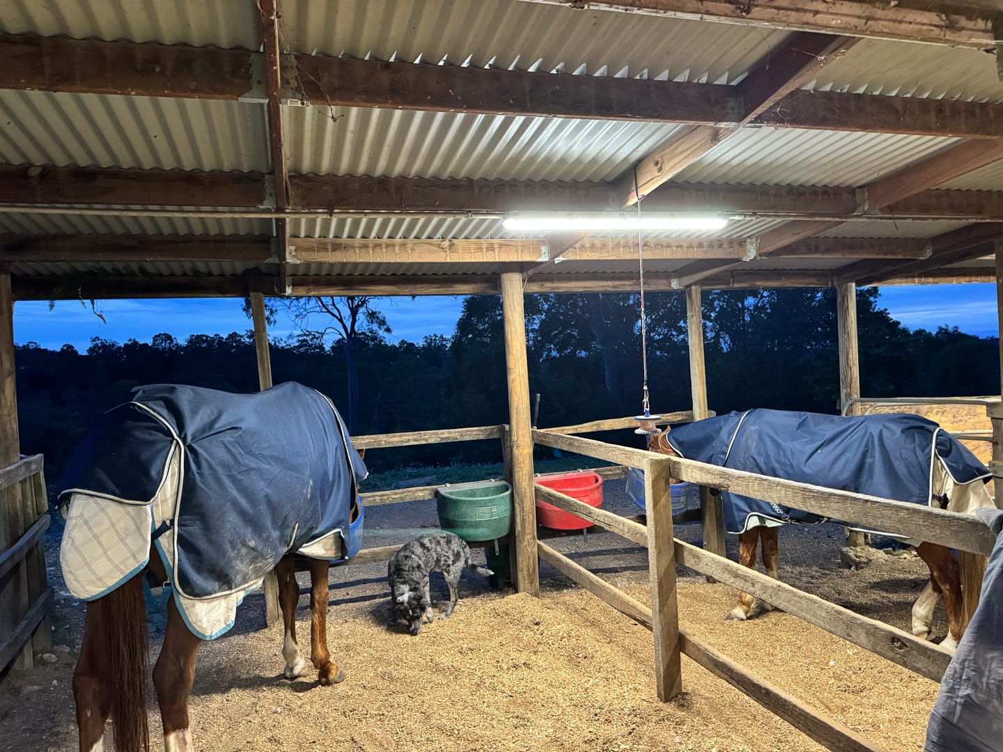 Customer photo review of Amigo Ripstop 900D Plus Turnout 0g