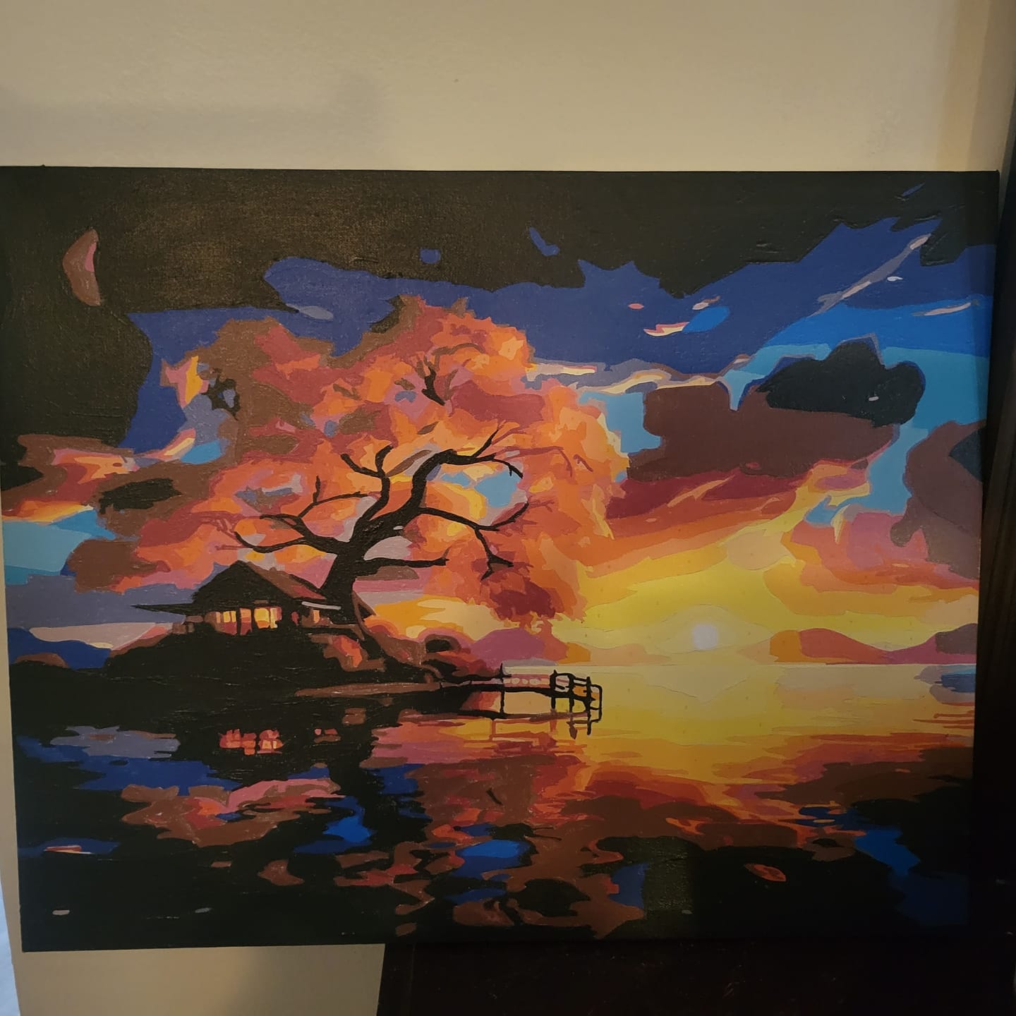 Customer photo review of Custom Paint by Numbers Kit