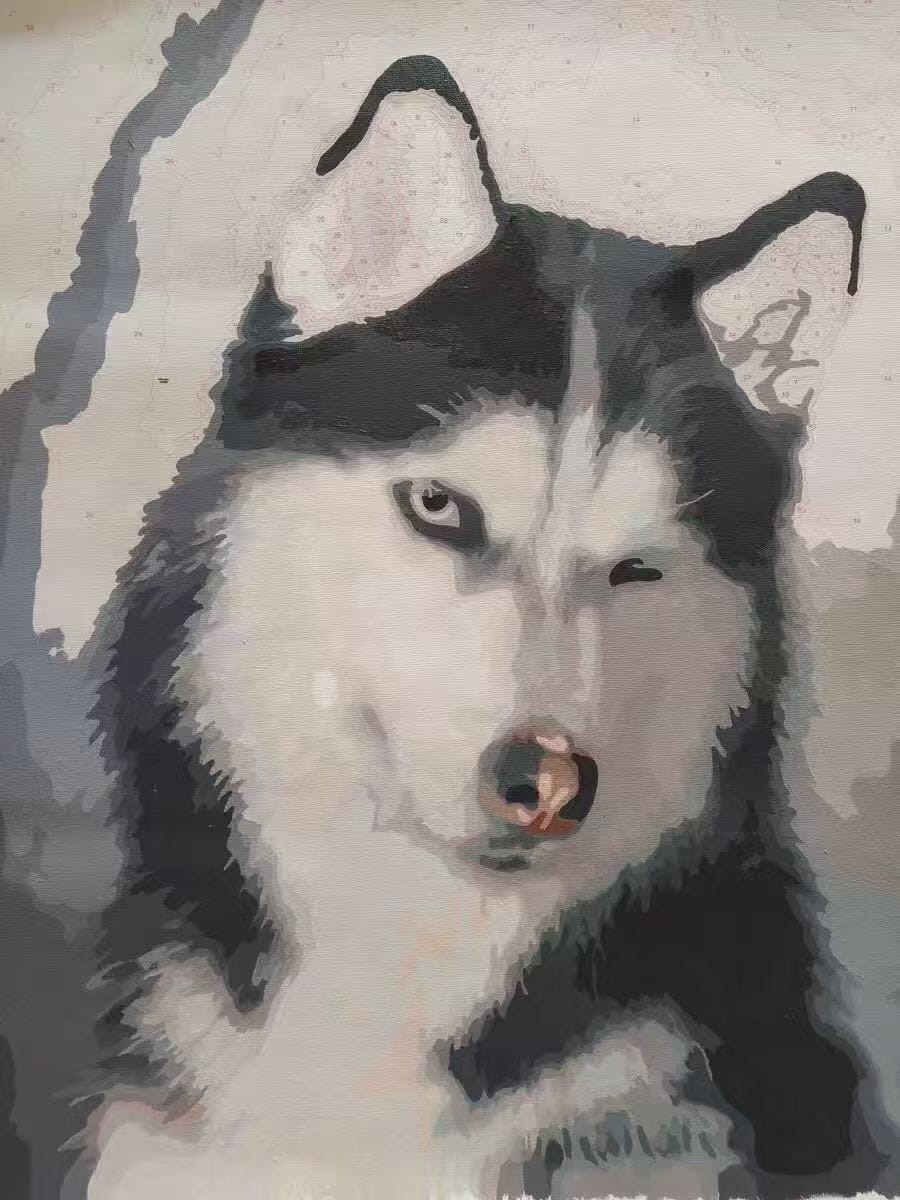 Customer photo review of Custom Paint by Numbers Kit
