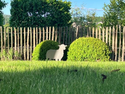 Customer photo review of Gartenstecker Schaf