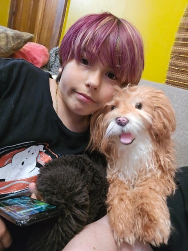 Custom Petslify plush reviewed by James G., handmade replica of their pet