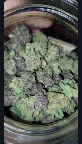 Customer photo review of Gorilla Glue Greenhouse THCA