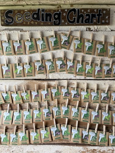 Customer photo review of Mint Seed Pack - (6 Variety)