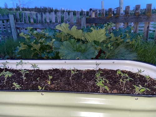 Customer photo review of 17” Tall Modular 9 in 1