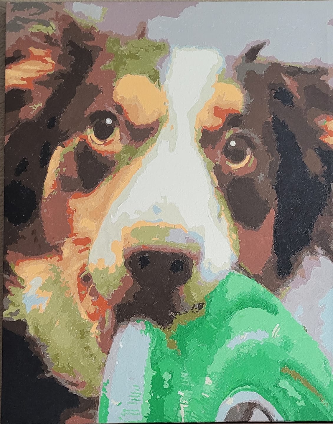 Customer photo review of Custom Paint by Numbers Kit