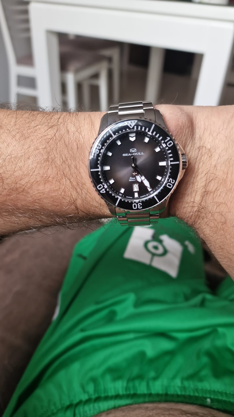 Customer photo review of Dive | Ocean Series | 300M Waterproof | Luminous | Calendar | 44mm