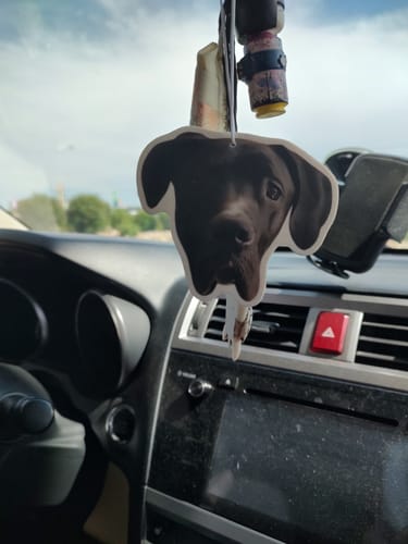 undefined review of Custom Air Freshener image 1 out of 1