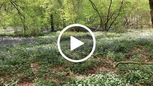 Customer video review of Enamel Storage Bin with Lid