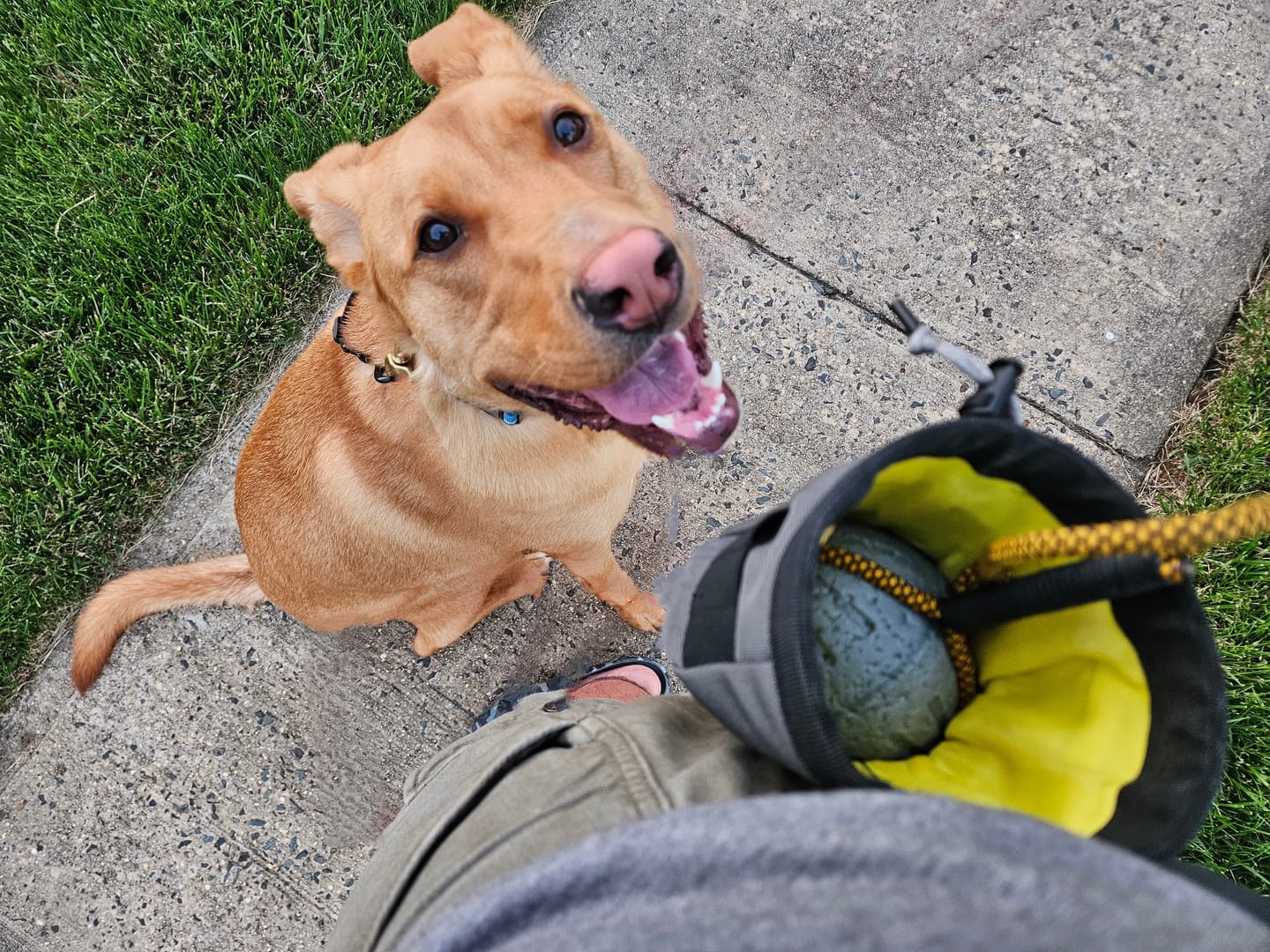 Customer photo review of Joey Pouch Classic | The Original Joey Tool and Hardware Pouch