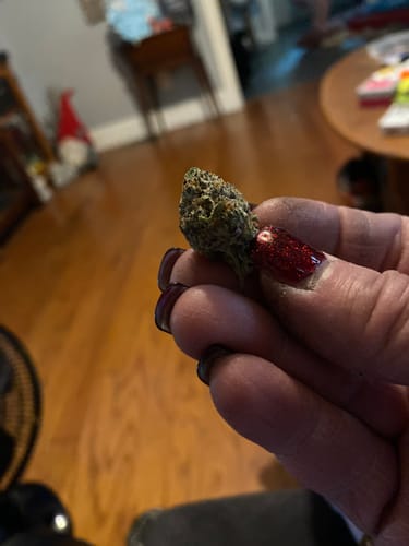 Customer photo review of Wham Berries Exotic Indoor THCA Flower Full Size Buds