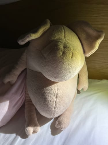 Customer photo review of HELMUT, LE COCHON - GRAND