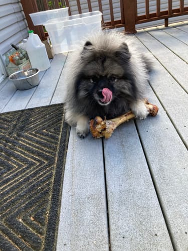 Customer photo review of Mystery Gift