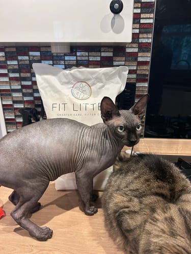 Customer photo review of 1 Month Supply – 3 Cat