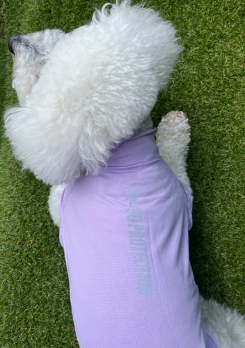 Customer photo review of Sunblock Dog T-Shirt - Purple