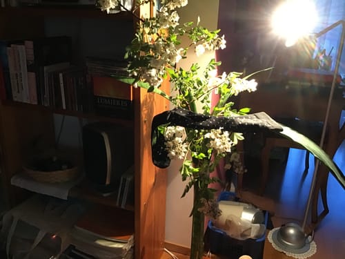 Customer photo review of Kompressionssocken Original