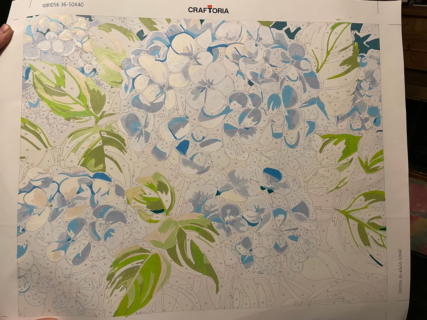 Customer photo review of Clustered Hydrangeas