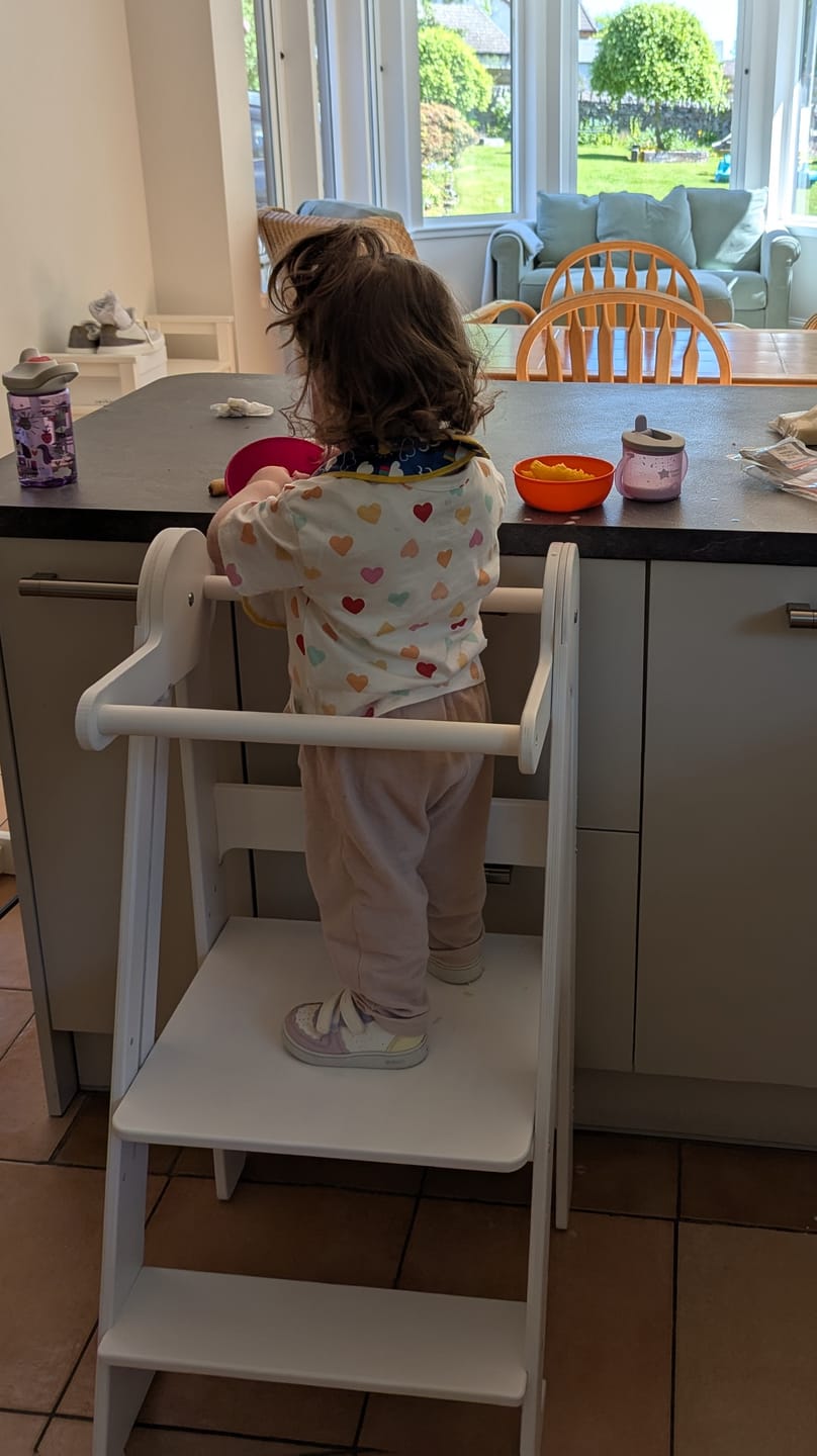Customer photo review of Foldable Learning Tower