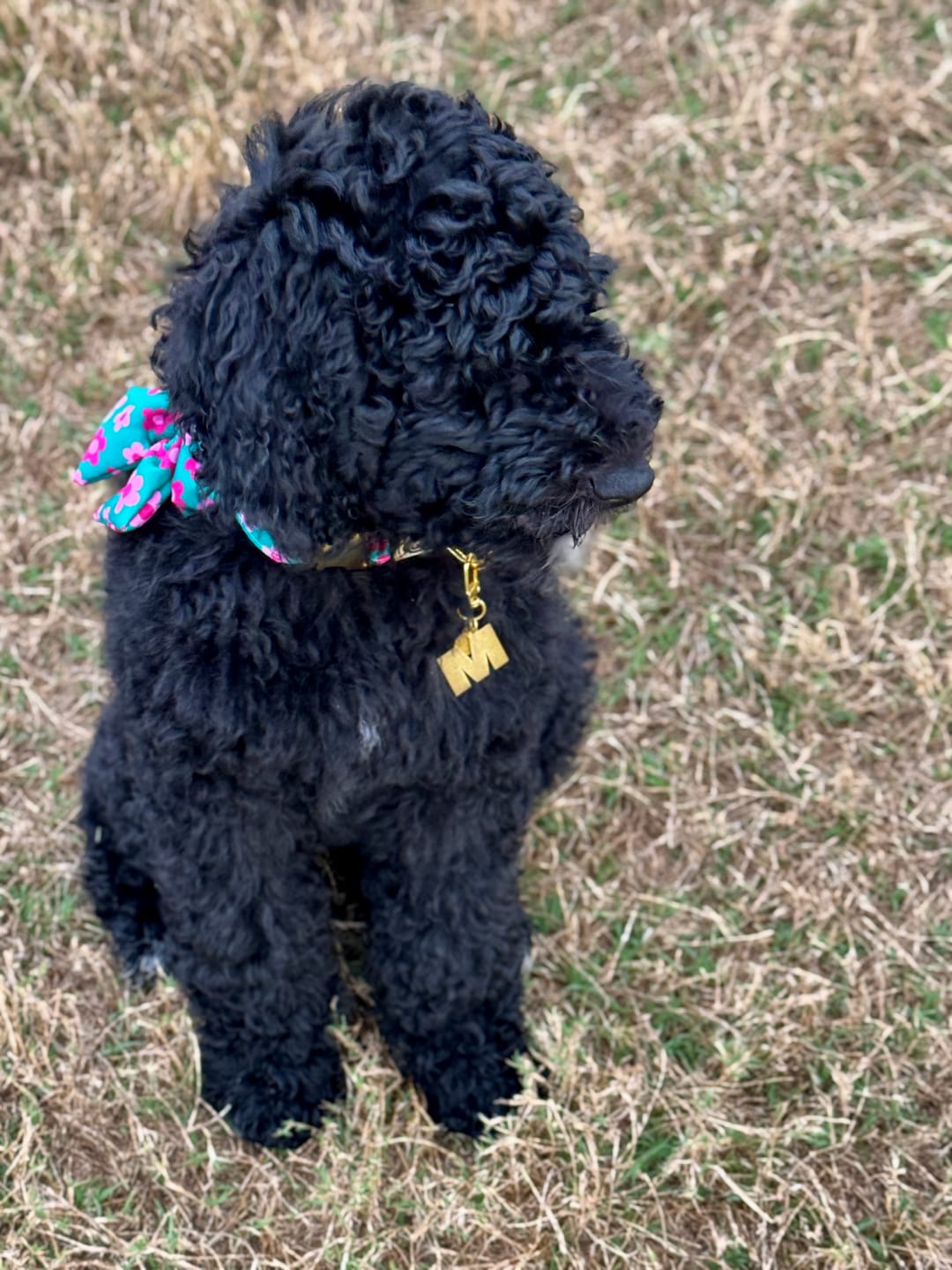 Customer photo review of Initial - Collar Charm