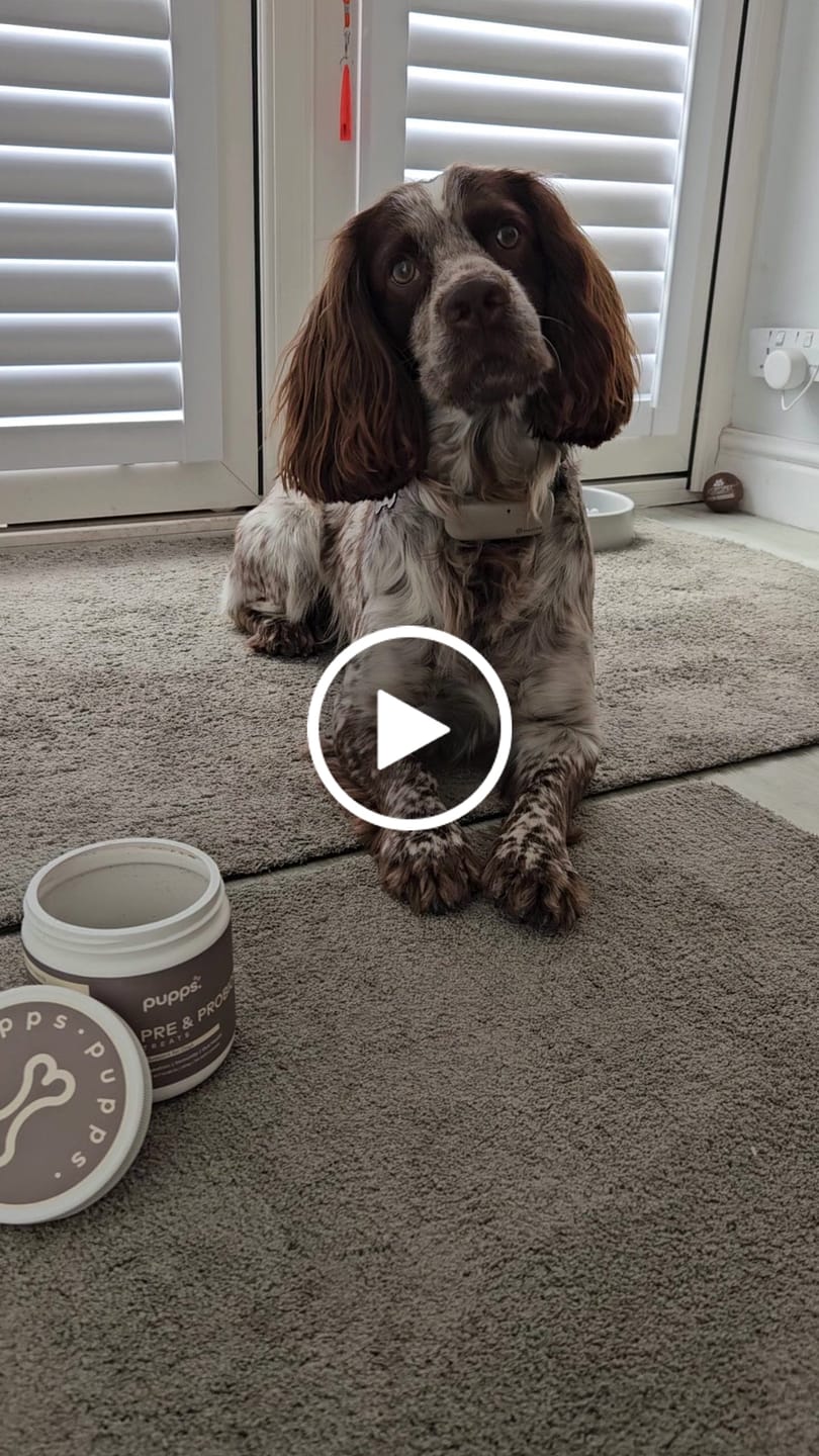 Customer video review of Pre & Probiotic Treats