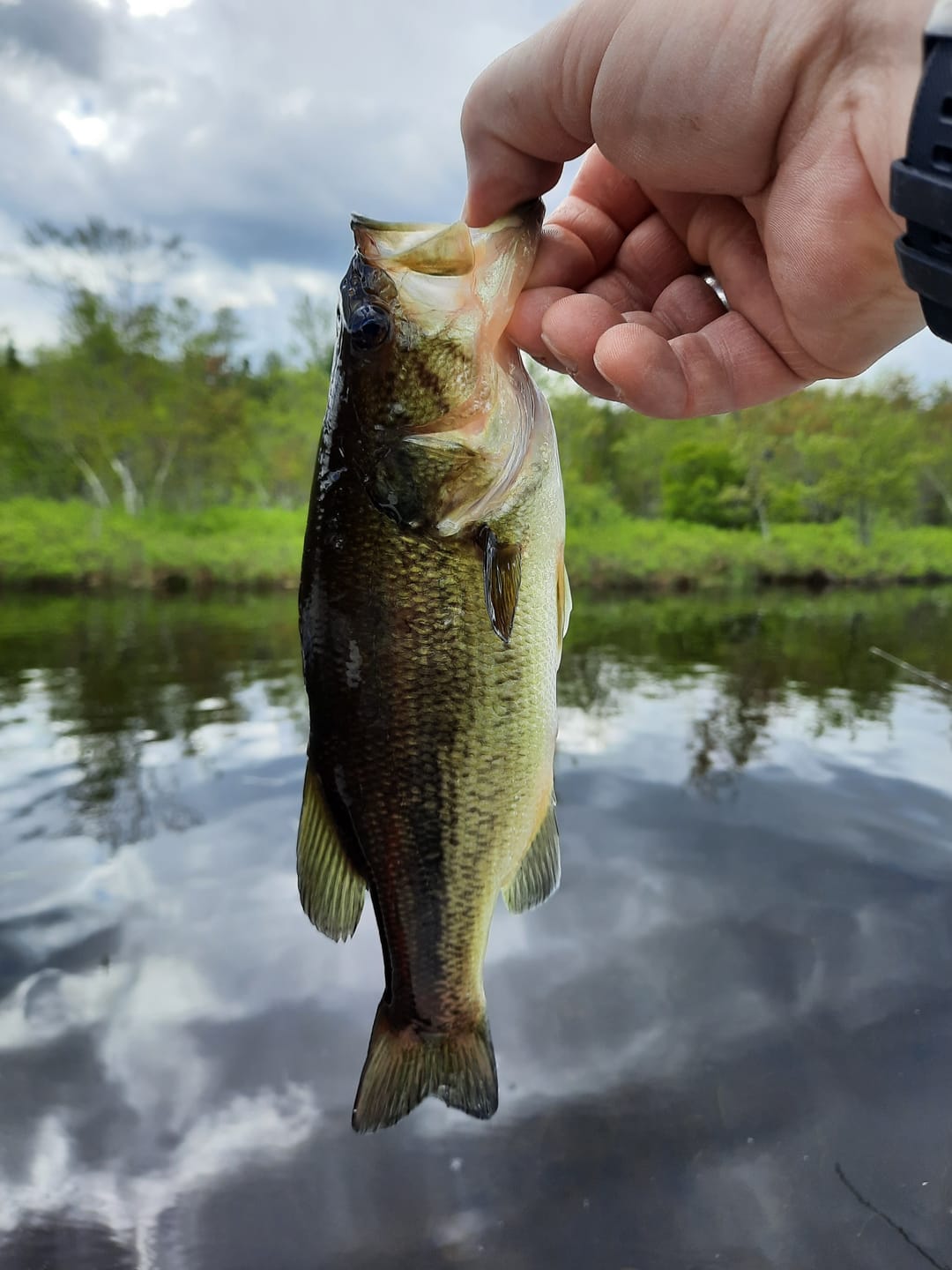Customer photo review of Beyond Fishing Tackle Bag - The Voyager