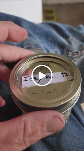 Customer video review of Icy Pop  - 14 Grams Littles - Hybrid