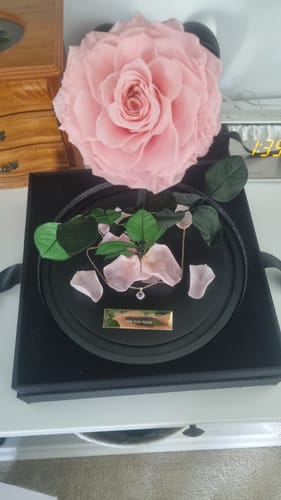 Customer photo review of Pink Lasting Belle
