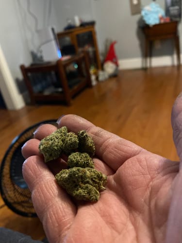 Customer photo review of Glitter Bomb Exotic Indoor THCA Flower Small Buds